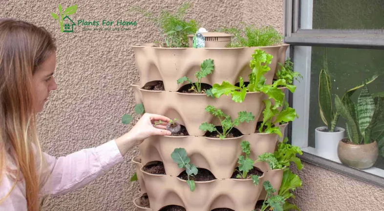 Additional Tips for Vertical Gardening