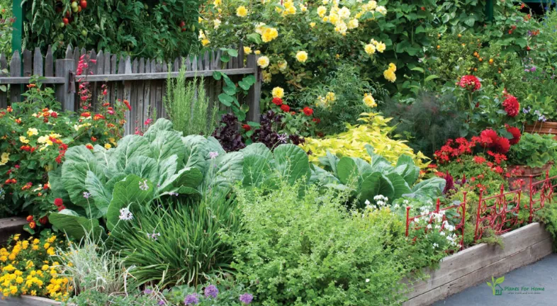 1. Understanding Edible Landscaping
