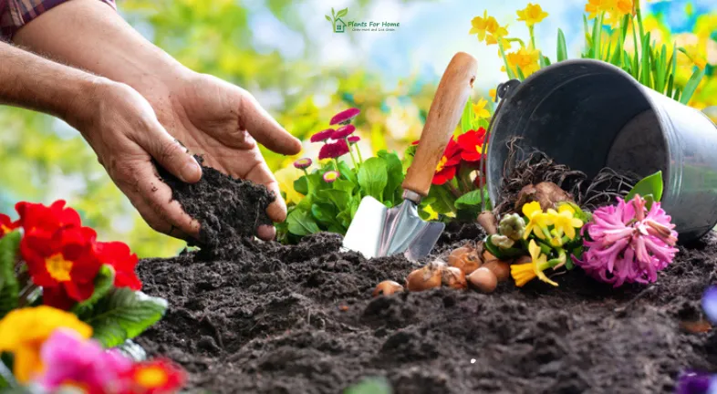 2. Choosing the Right Plants