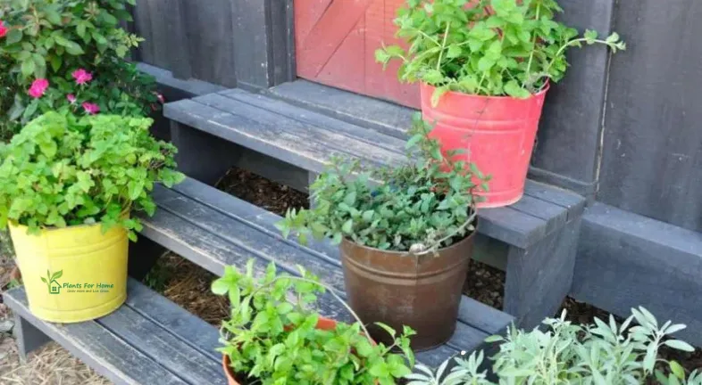 5. Creating Functional Spaces