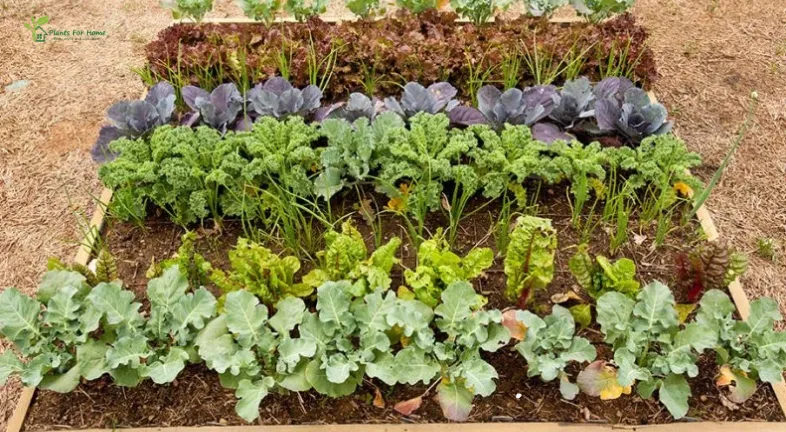 6. Sustainable Practices
