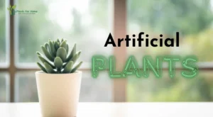 Artificial plants