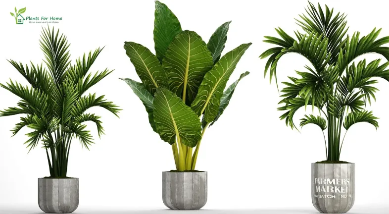 Benefits of Artificial Plants