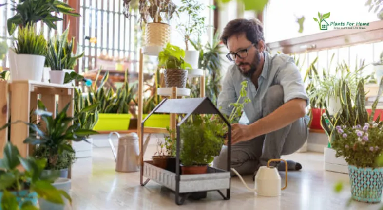 Benefits of Microclimate Gardening are as follows