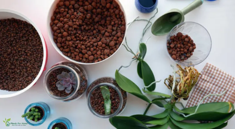 Benefits of using LECA for Indoor Gardening are as follows