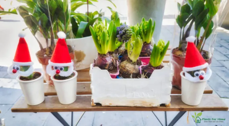 DIY Herb Planters