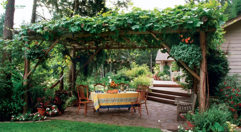 Edible Landscaping Ideas