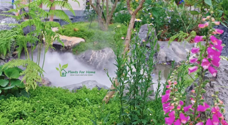Fire-resistant Gardening