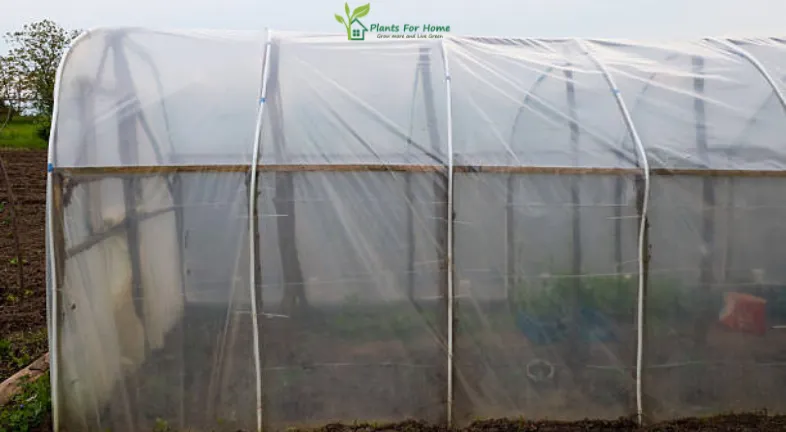 Microclimate gardening