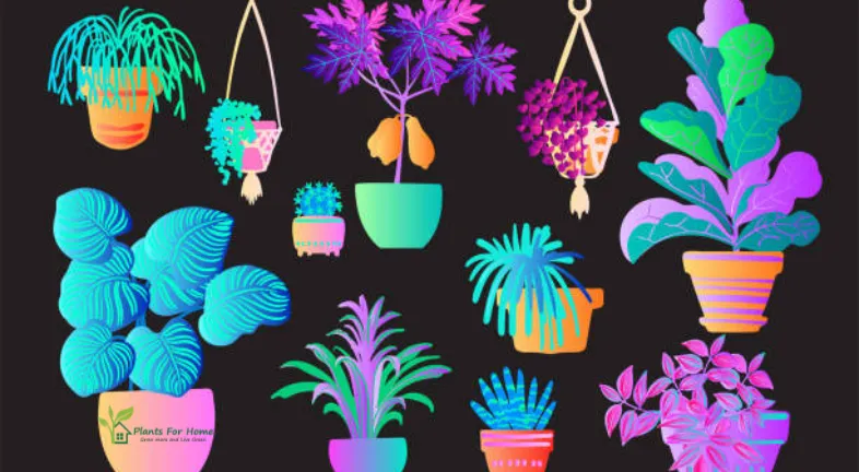 NFT house Plants and Digital Greenery