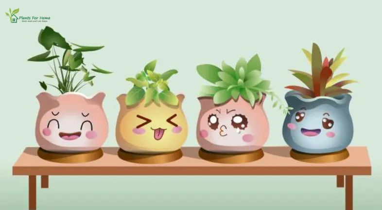 The Benefits of NFT House Plants are as follows as mentioned below