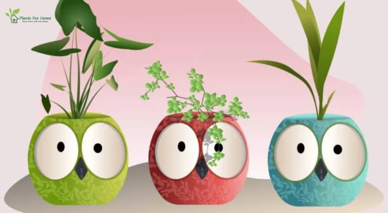 The Future of NFT House Plants