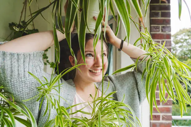 happy-teenage-girl-carrying-potted-spider-plant-on-head-on-balcony