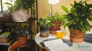 reading-place-near-houseplants-with-opened-book-digital-detox
