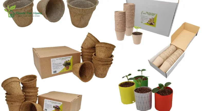 Introduction to Sustainable Plant Pots is as follows